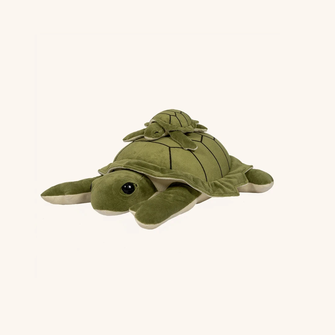 Verzwaarde pluchen Schildpad 1,6kg
