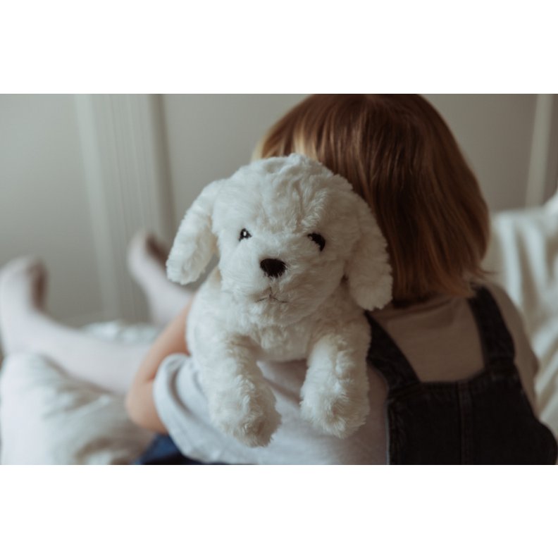 Verzwaarde pluchen hond 0,6 kg