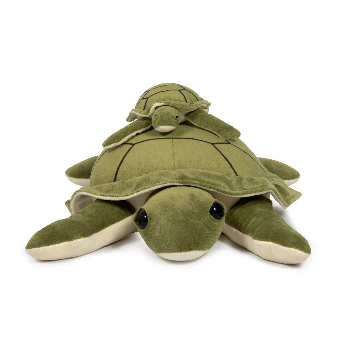 Verzwaarde pluchen Schildpad 1,6kg